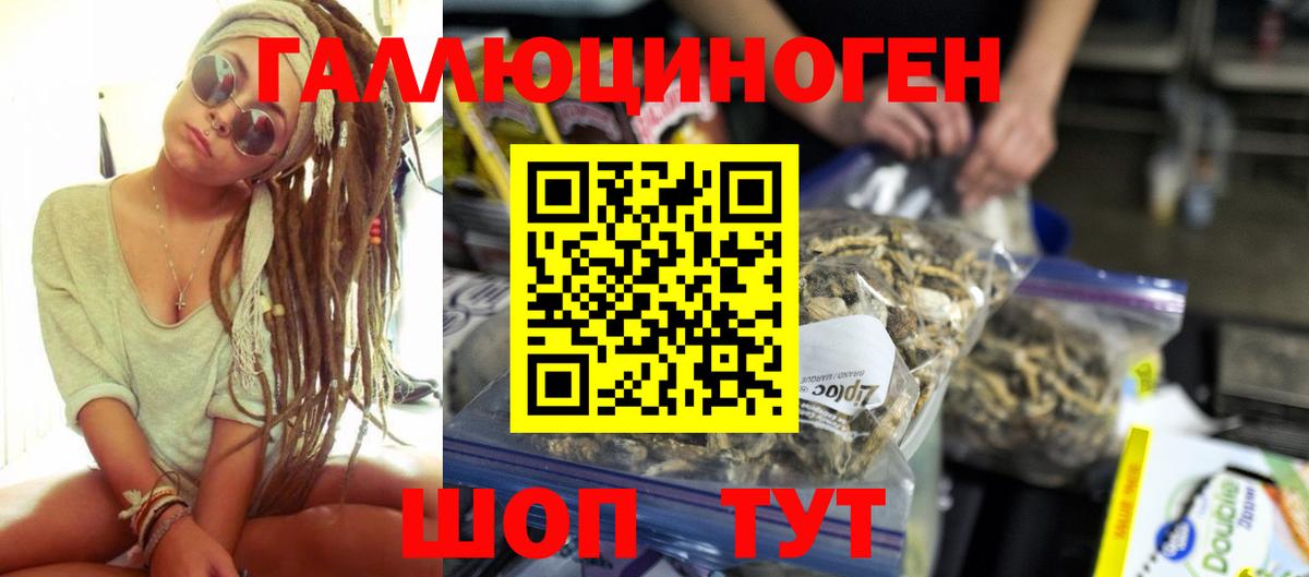 Псилоцибиновые грибы Psilocybe  Вход с VPN  Гай  Псилоцибиновые грибы GOLDEN TEACHER 