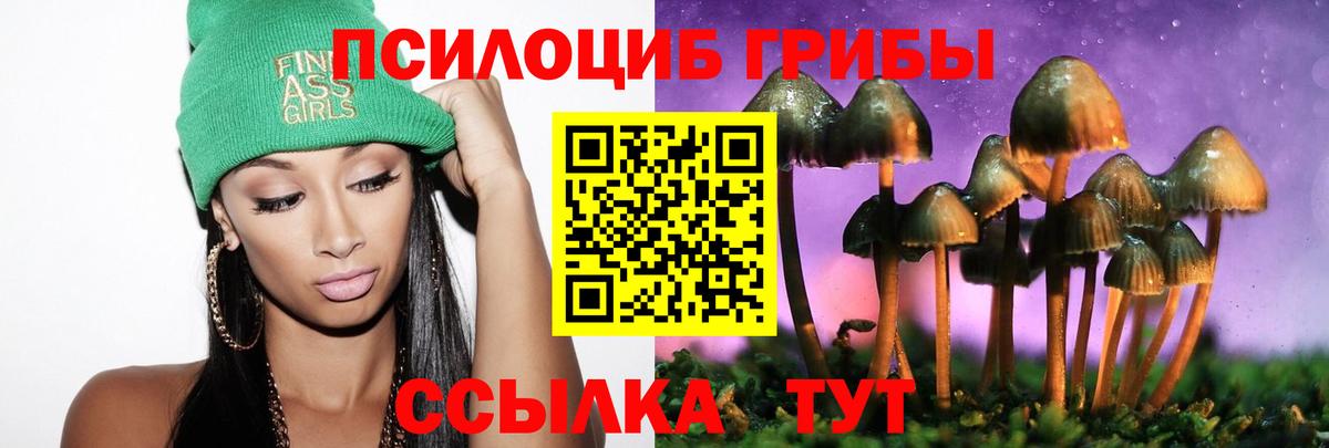 Псилоцибиновые грибы MAGIC MUSHROOMS Гай